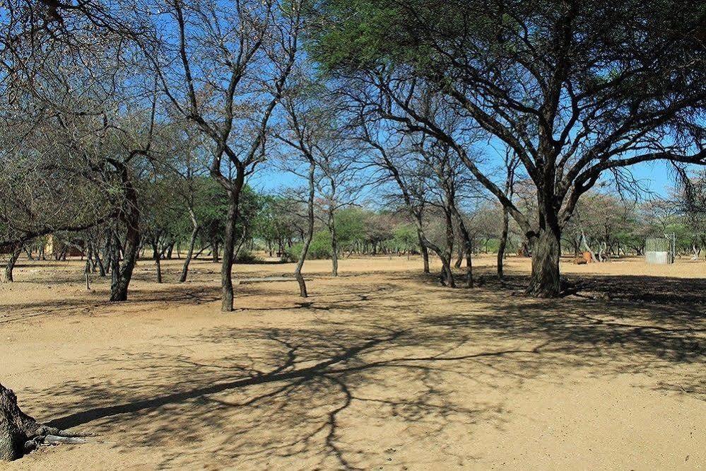 Harnas Wildlife Foundation Gobabis Eksteriør bilde