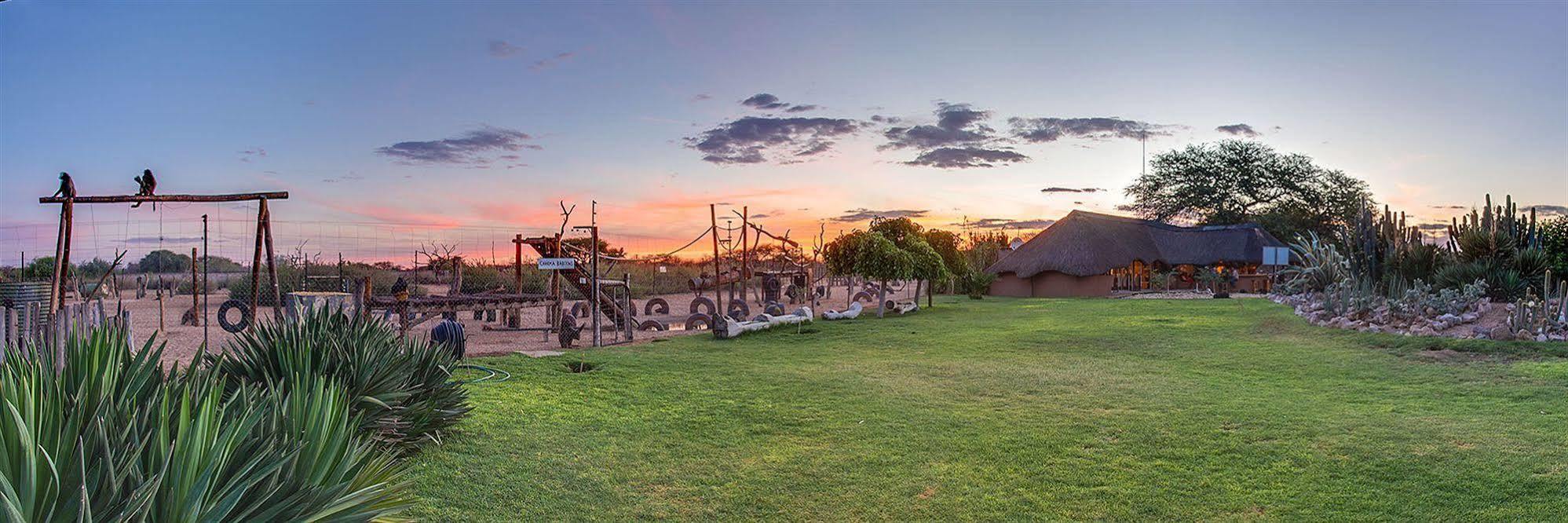 Harnas Wildlife Foundation Gobabis Eksteriør bilde